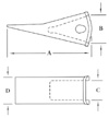 Teeth Dimensions Diagram